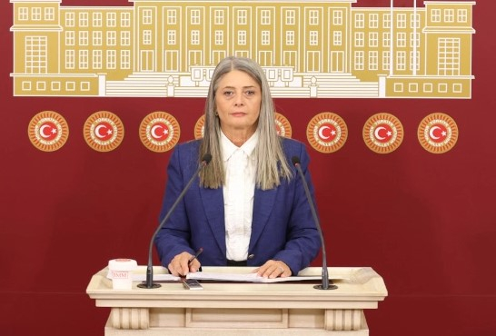 CHP'li Suiçmez, Sağlık Bakanlığı'na 'Doğum' Üzerine Tepki Gösterdi