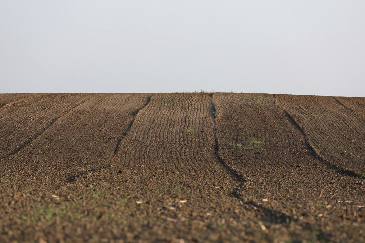 Çokyaşar Halat'tan arsa alımı