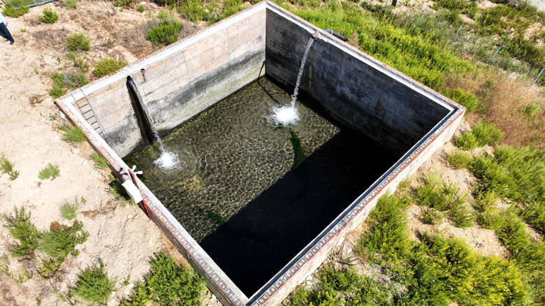 Büyükşehir Belediyesi'nden Üreticilere 2024'te 85 Milyon TL Enerji Desteği