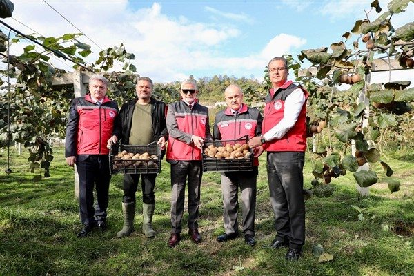Ordu Valisi Erol, kivi hasadına katıldı