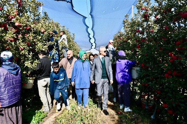 Karaman Valisi Çiçekli, elma hasadı yaptı