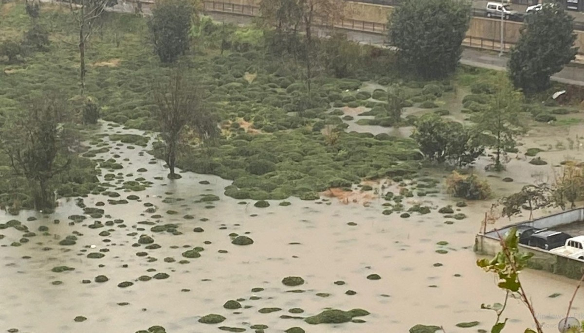 Rize Çayeli'nde Heyelan: Afetler Kader Değil, Önlenebilir