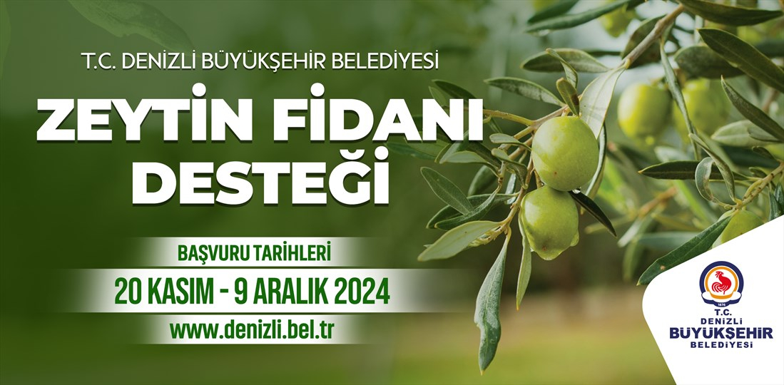 Büyükşehir, Çiftçilere 50 Bin Zeytin Fidanı Verdi