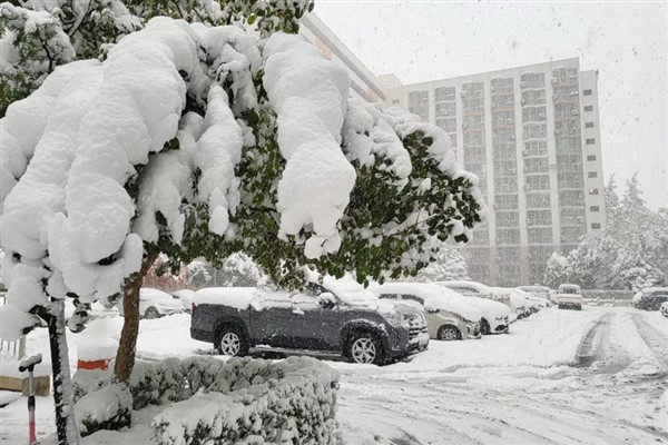 Güney Kore'de son 100 yılın tarihi kar yağışı yaşandı