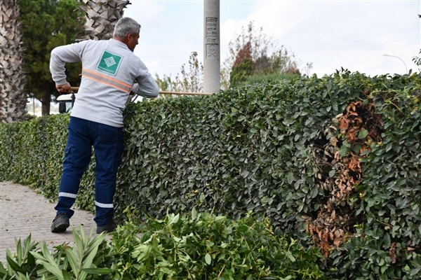 Osmaniye Belediyesi ekipleri, ağaç dikim çalışmalarını sürdürüyor