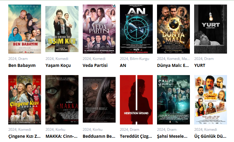 2024 Yılı İçin En İyi Yerli Filmler Hangileri?