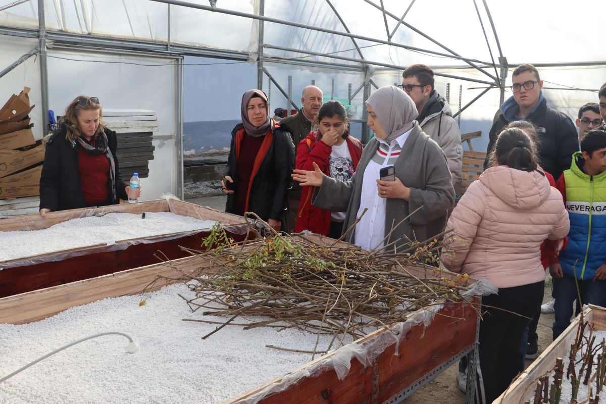 Ordu Biyoinovasyon Merkezi ata tohumlarını koruyor ve çoğaltıyor