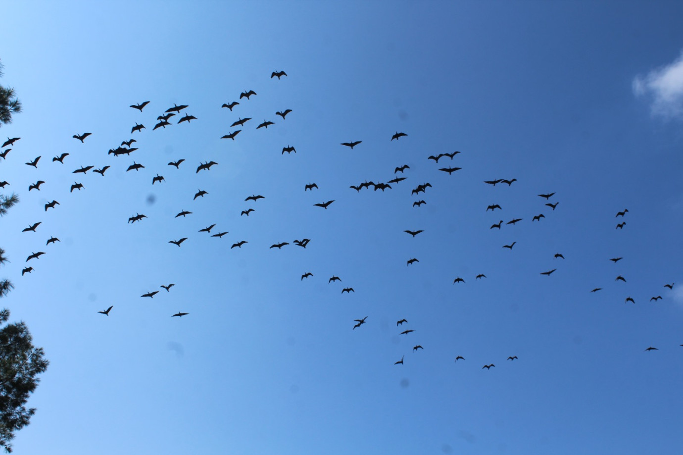 VALİ ŞILDAK BİRECİK’TE İNCELEMELERDE BULUNDU