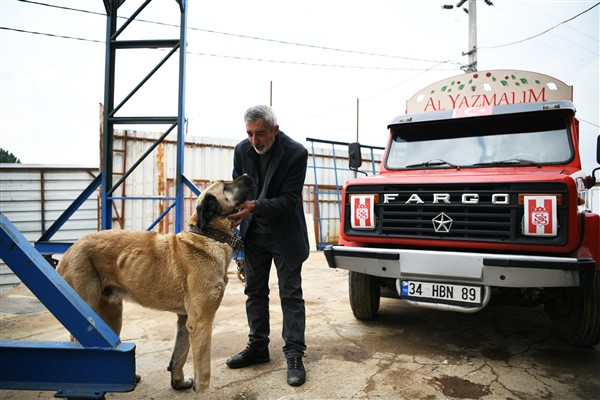 Çayırova'da sokak hayvanlarına sıcak yuvalar bulunuyor