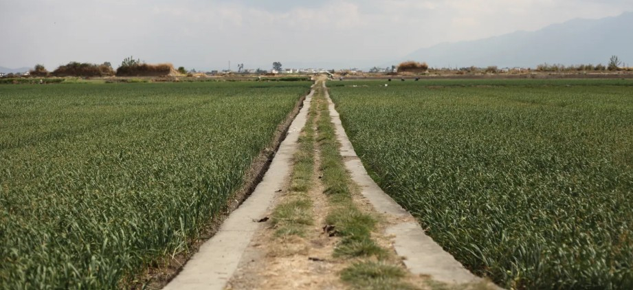 Çin kırsal bölgelerin yeniden canlandırılması planlarını açıkladı