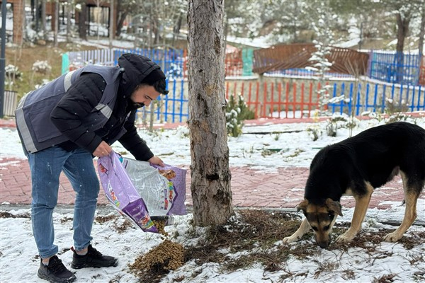 Karabük Belediyesi'nden sokak hayvanlarına mama desteği