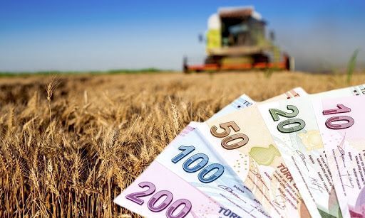 Hayvancılık Desteklemelerinde Yeni Düzenleme