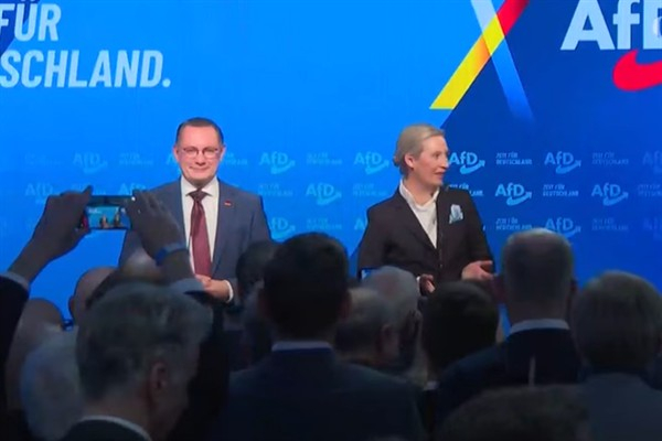 AfD, Nazist açıklamalar sonrası ihraç edilen iki politikacıyı yeniden partiye kabul etti