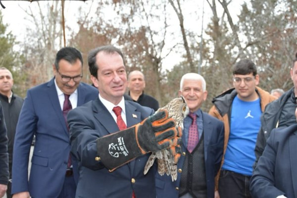 Dicle Üniversitesi'nde tedavi edilen yaban hayvanları doğaya salındı