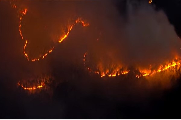 Japonya'daki orman yangını nedeniyle binden fazla kişi tahliye edildi