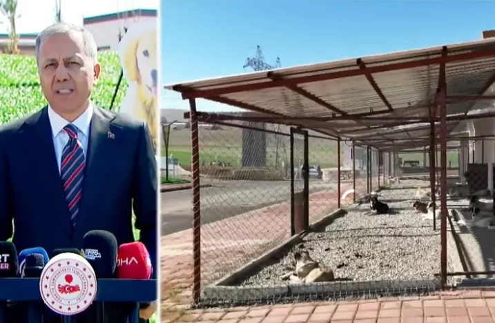 Bakan Yerlikaya: Belediyeler sahipsiz hayvanlar konusunda iki ayda bir denetlenecek