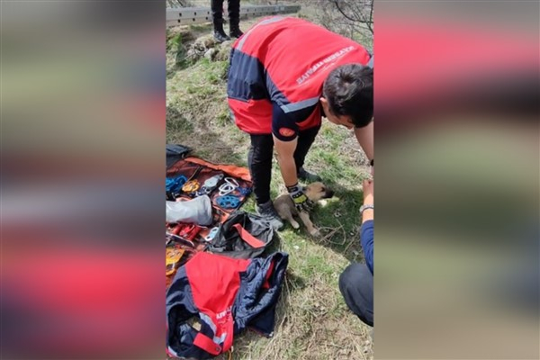 Kayseri İtfaiyesi kuyuya düşen köpeği kurtardı