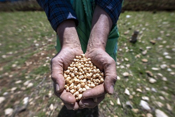 Mersin'de kırsalda yaşayan üreticiler için projeler hayata geçiriliyor