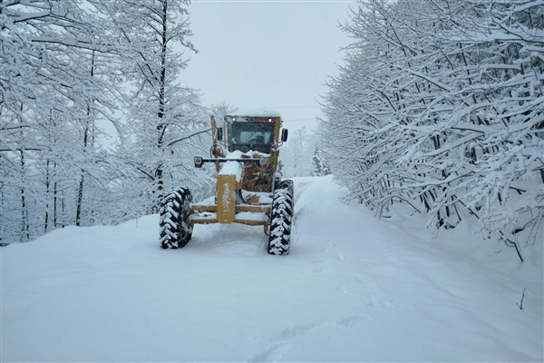 Ordu'da kar, yüksek rakımlı ilçelerde etkili oldu