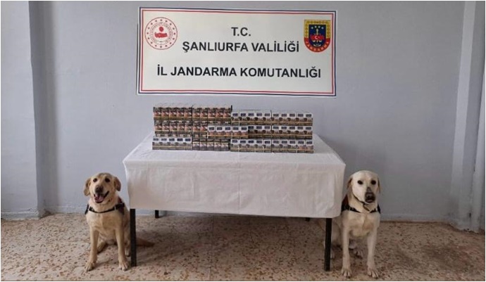 Şanlıurfa'da  1.720  karton kaçak sigara ele geçirildi