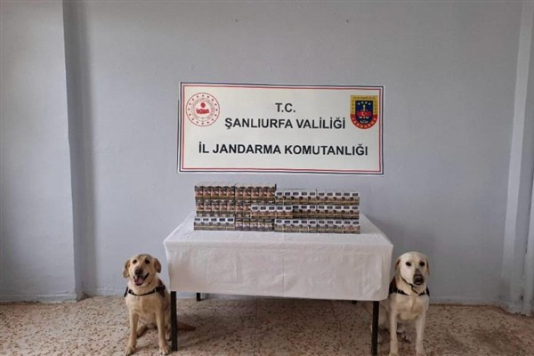 Şanlıurfa'da kaçak sigara operasyonu