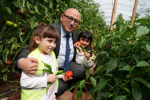 Mersin Erdemli’de öğrenciler, sebze hasadı yaptı