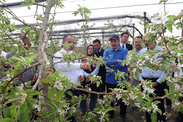 Tarım ve Orman Bakanlığı heyeti, Karaman'da zirai dondan etkilenen alanlarda inceledi