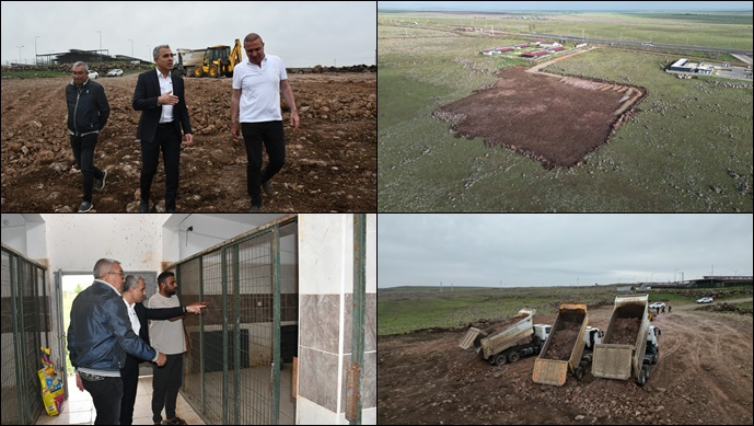 Siverek Belediyesi Sokak Hayvanları İçin Doğal Yaşam Alanı Oluşturuyor