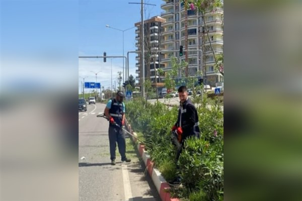 Siirt'te belediye ekipleri çalışmalarını sürdürdü