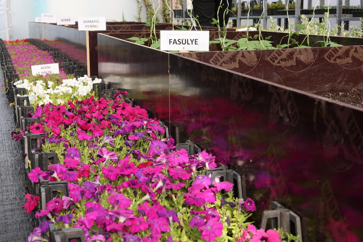 Derince Belediyesi kendi serasını kurdu