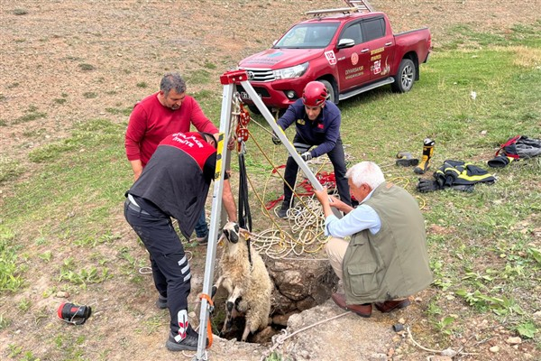 Diyarbakır’da kuyuya düşen koyun kurtarıldı