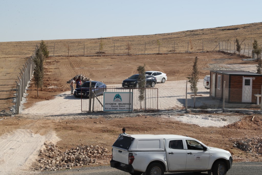 Eyyübiye’de Hayvan Bakımevi Hizmete Giriyor-(VİDEO)