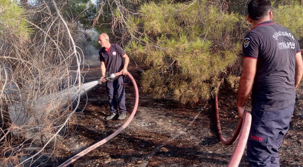 Bozova’daki Orman Yangını Hızla Kontrol Altına Alındı