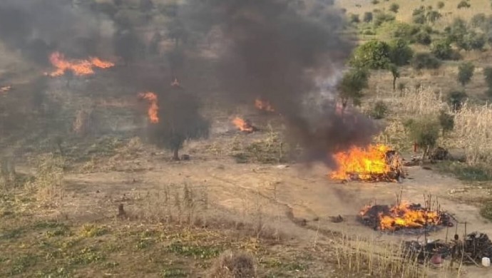 Nijerya’da DAİŞ ve Boko Haram çatışması: 200 ölü