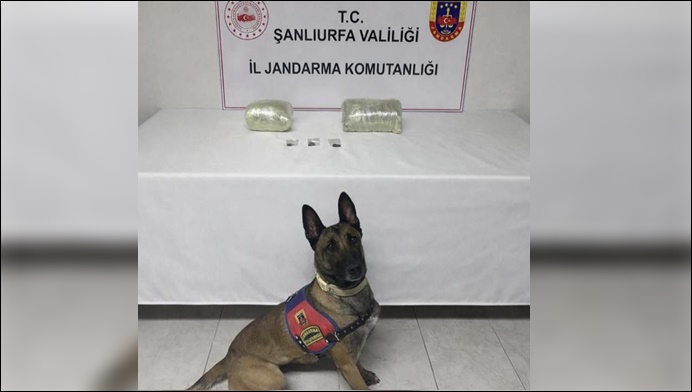 Şanlıurfa 'da uyuşturucu operasyonu