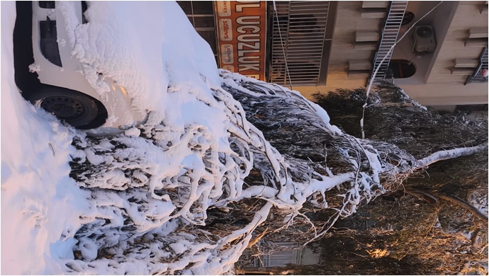 Karın Ağırlığına Dayanamayan Ağaçlar Elektrik Hatlarına Zarar Verdi