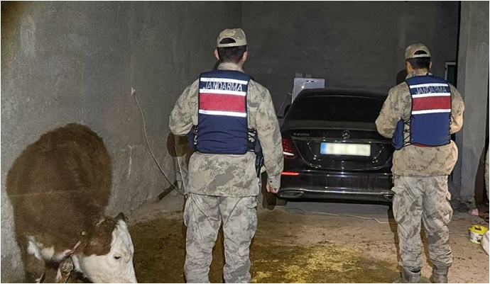 Şanlıurfa 'da Ahırdan Çalıntı Araç Çıktı!