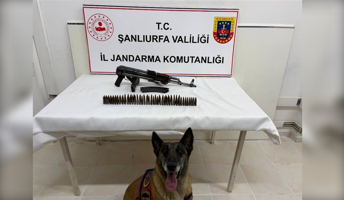 Suruç’ta Ruhsatsız Silah ve Mühimmat Operasyonu