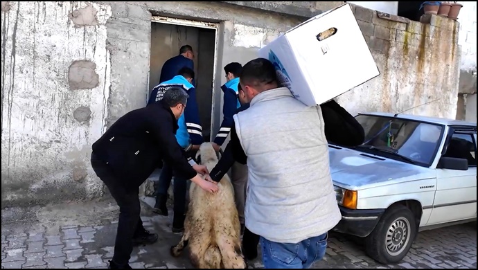 Başkan Kuş’tan Yetim Ailelerine: Her zaman yanınızda olacağız-(VİDEO)