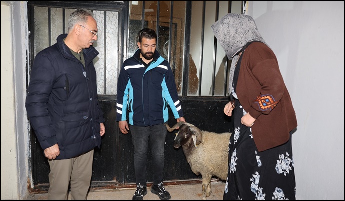 Eyyübiye Belediyesi’nin Destekleri Ailelerin Yüzünü Güldürüyor-(VİDEO)