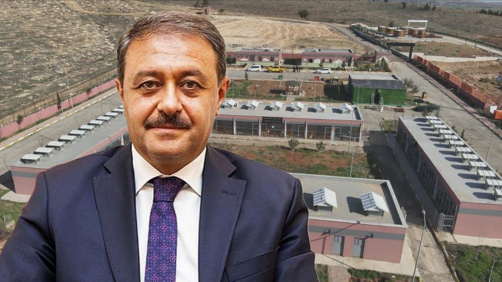 Vali Şıldak, Toplatılan Sahipsiz Hayvan Sayısını Açıkladı