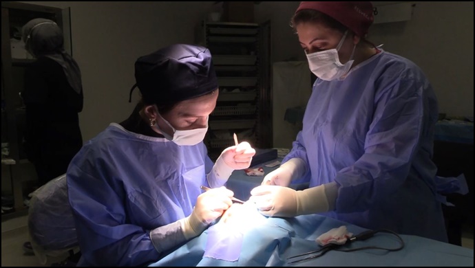 Göz Kapağı Düşüklüğü (Pitoz) Nedir? Nasıl Tedavi Edilir-(VİDEO)