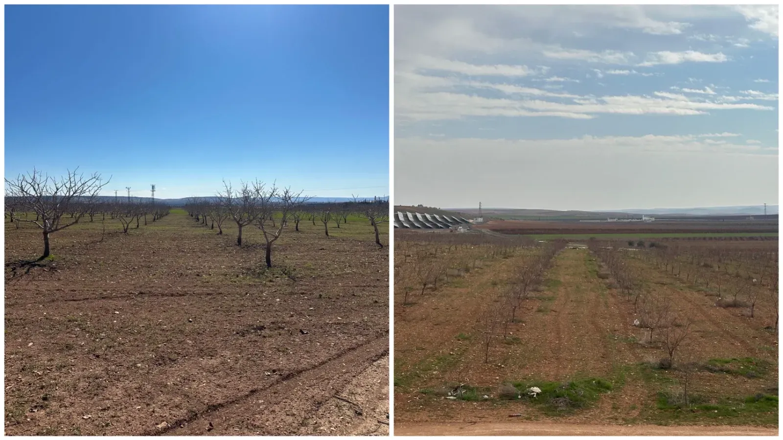 Ziraat Mühendisi Bekir Erol Ak’tan Urfalı Çiftçilere Önemli Uyarı