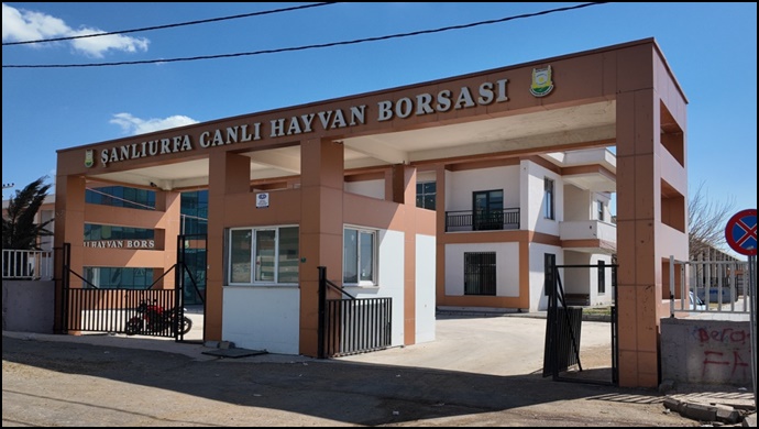  Şanlıurfa Canlı Hayvan Borsası’na Elektronik Baskül Kuruldu-(VİDEO)