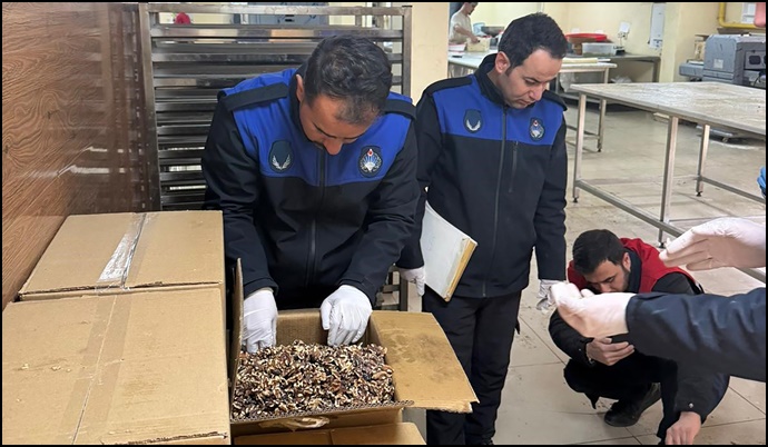 Haliliye’de Gıda Denetimi: Küflü Cevizlere El Konuldu