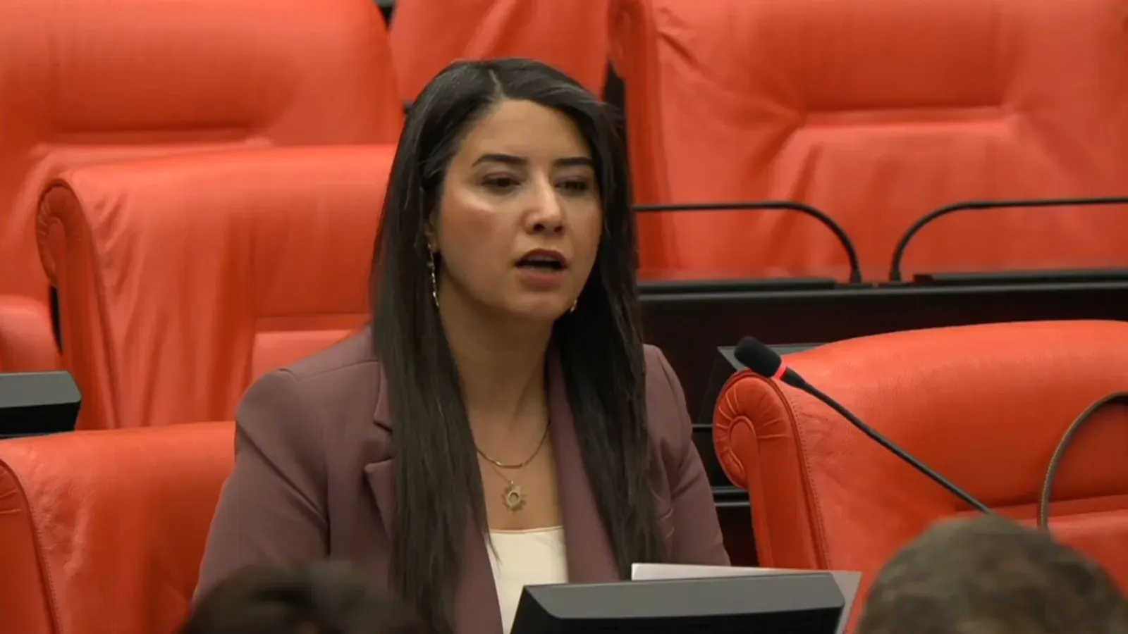 Milletvekili Ayan’dan Sel Tepkisi: “Neden Önlem Alınmadı?”