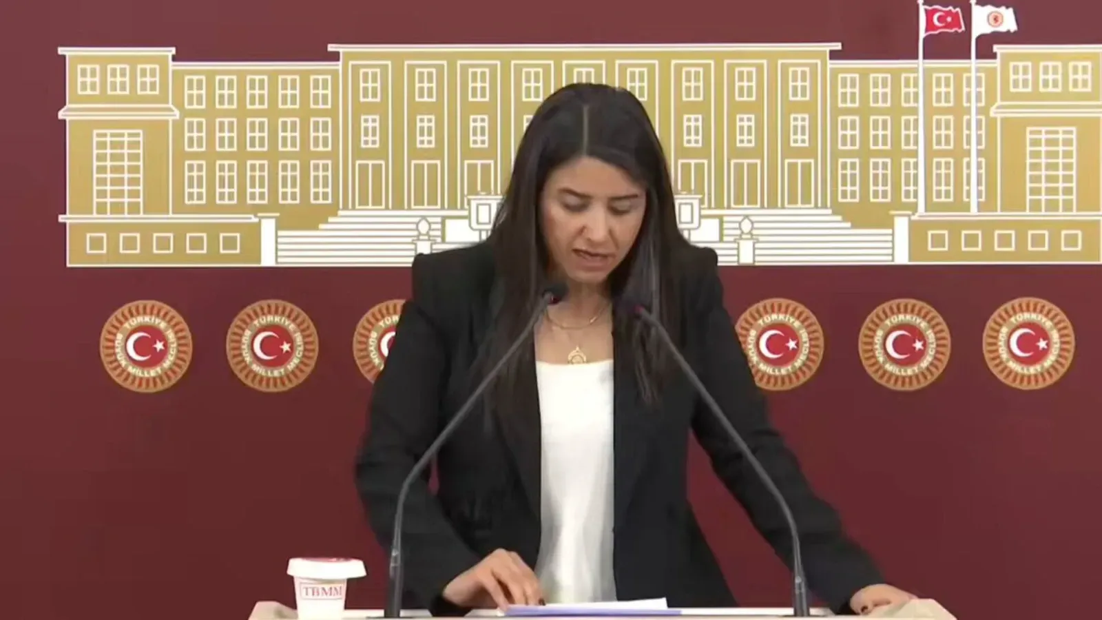 Şanlıurfa Yine Sular Altında: Felaket Önlenebilir miydi?