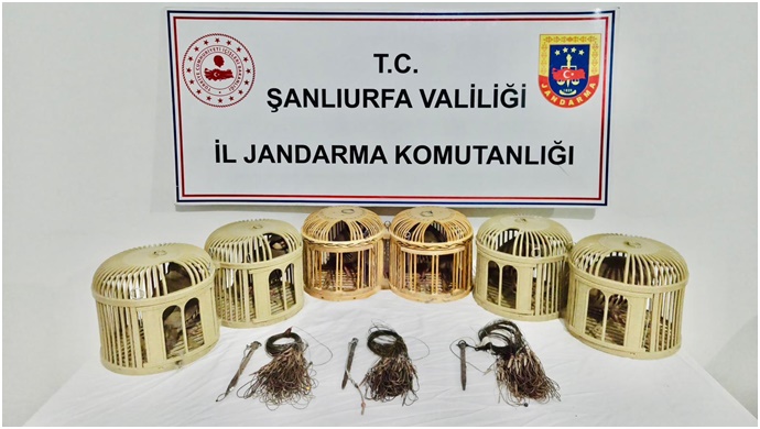 Şanlıurfa’da Kaçak Keklik Avına Jandarma Engeli