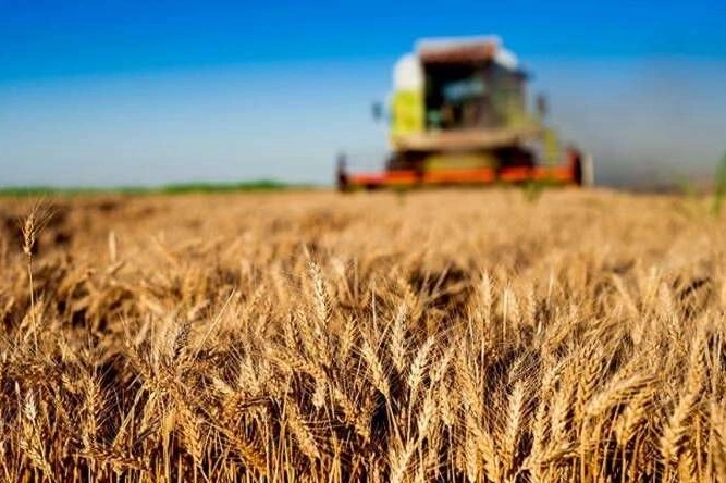 Kırsalda Tarıma Yüzde 70’e Varan Hibe Desteği