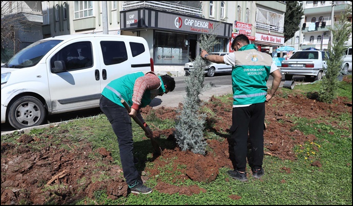 Haliliye’de Yaz Öncesi Parklarda Hummalı Çalışma-(VİDEO)
